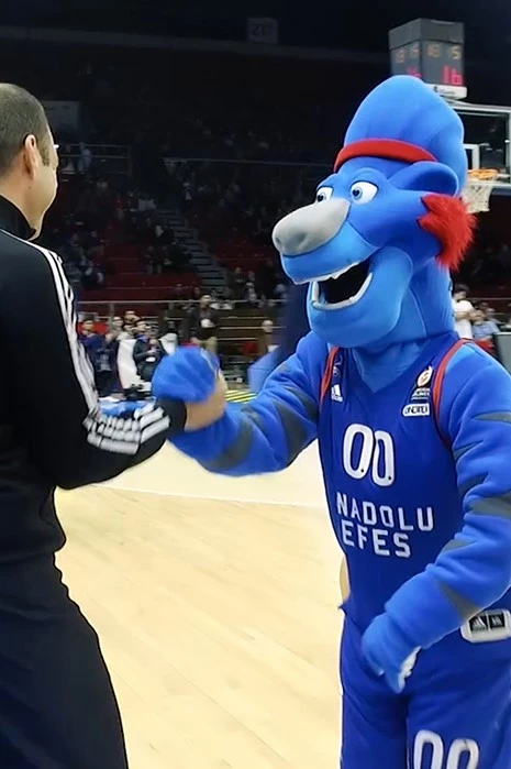 ÇAYLAK - EFES ANADOLU