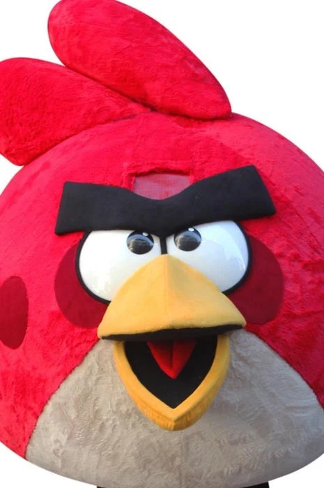 ANGRY BIRDS