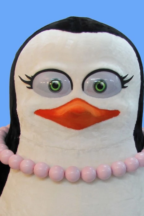 PENGUEN AİLESİ