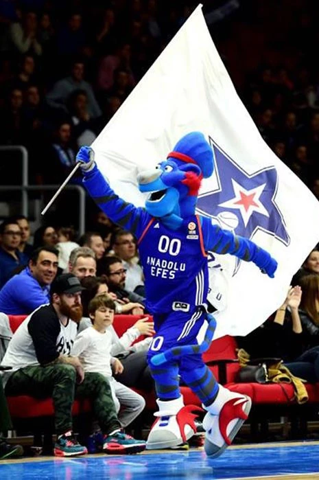 ÇAYLAK - EFES ANADOLU