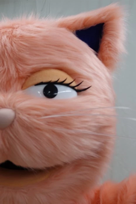 PINK CAT