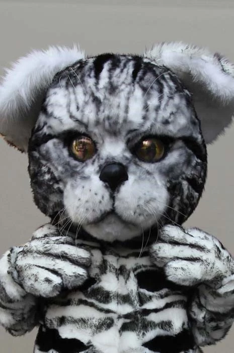 WILD CAT