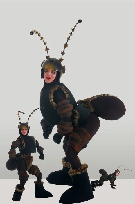 INSECTS - MASCOT MUSICAL