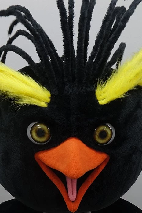 PENGUEN