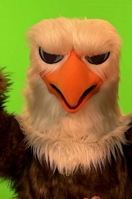 WHİTE EAGLE