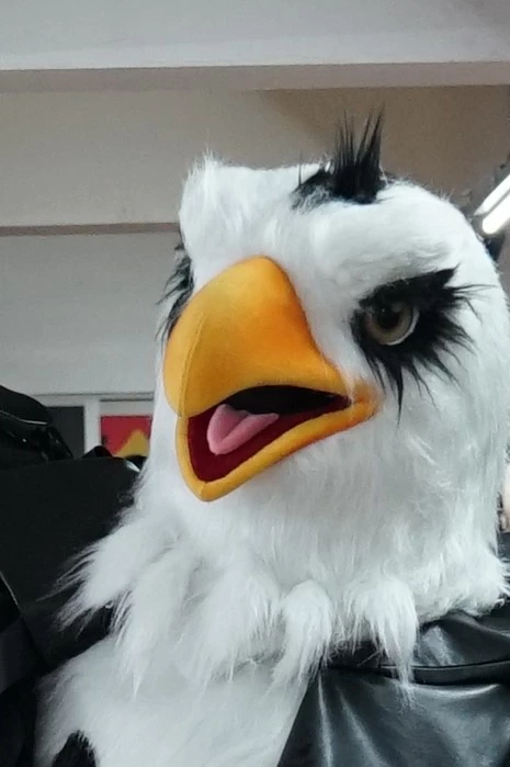 BAKU EAGLE