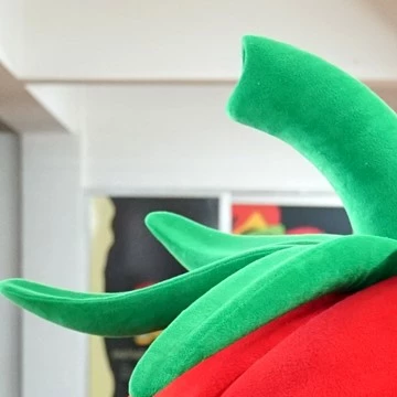 CUTE TOMATO 4